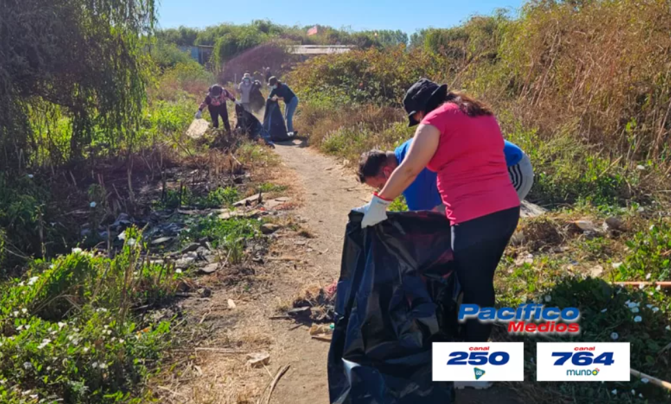 Vecinos de San Pedro de la Paz se unieron por la limpieza y conservación del Humedal Los Batros
